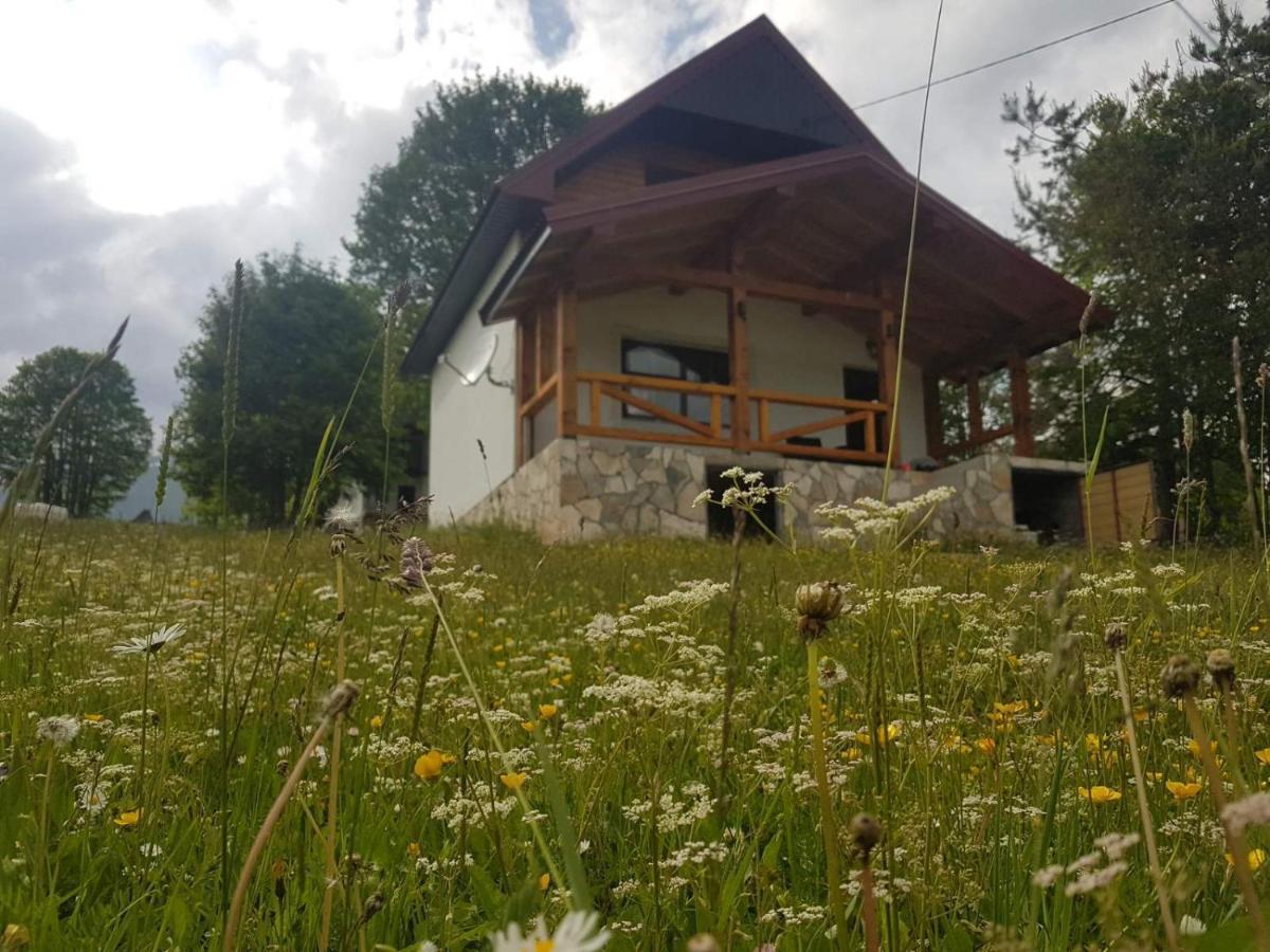 Eco Village Highlander Žabljak Exterior foto
